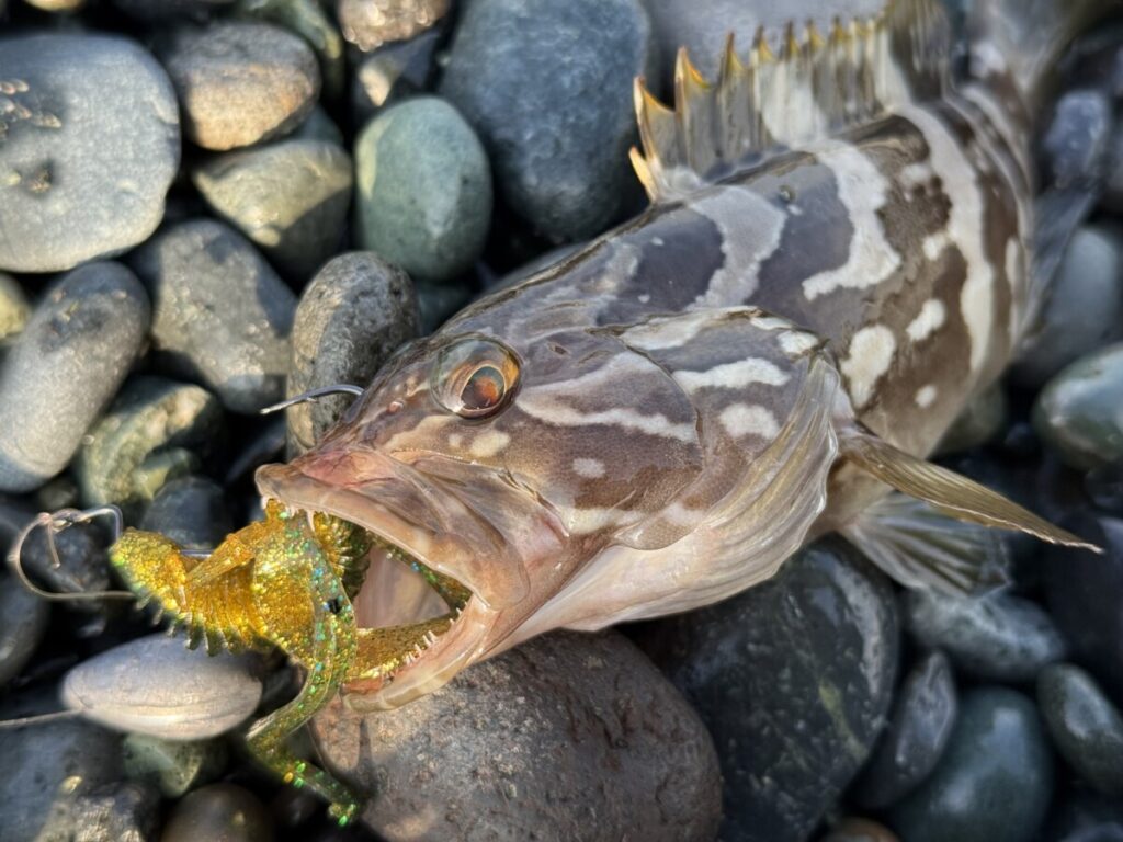 グリーンゴールドでクエ