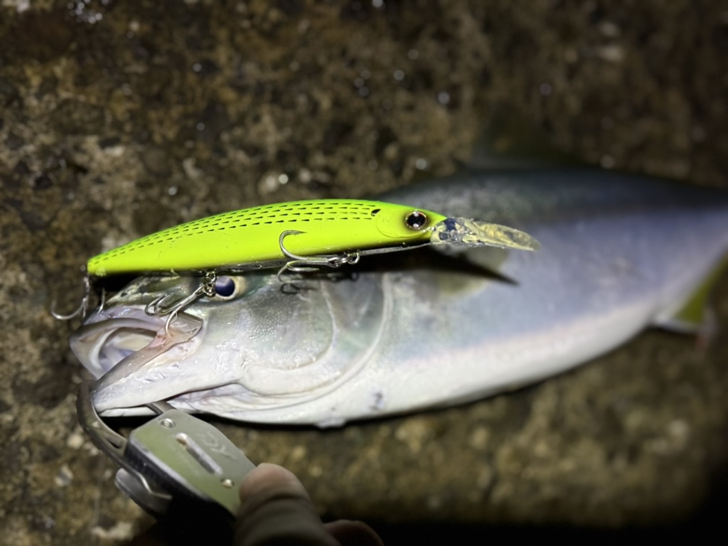 夜の漁港でセットアッパーで青物を釣る