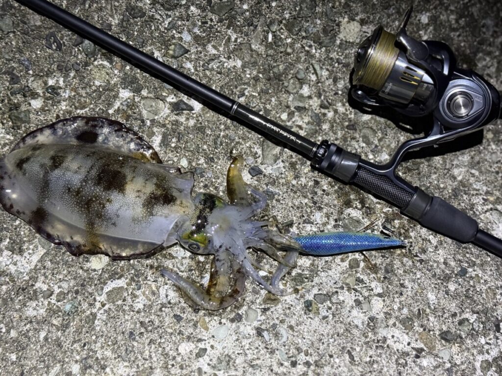 エギング【タックル】「軽さは武器」意のままに操るためのセッティング
