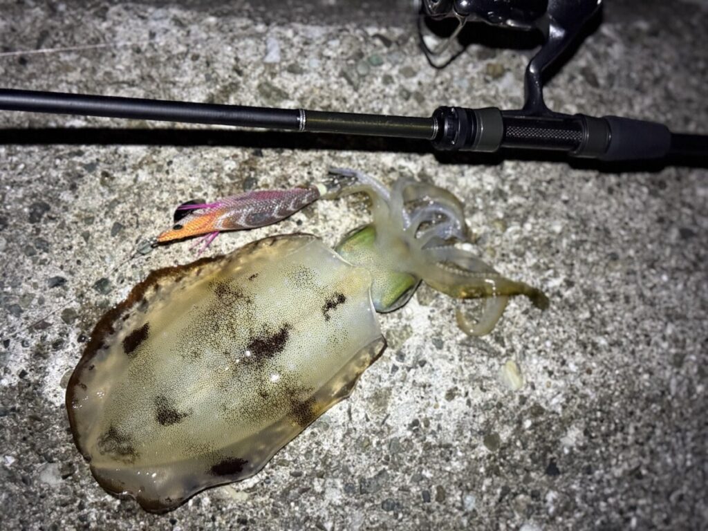 エギゾースト 3Gの「EZ3-842M」実釣インプレで感じた「万能さ」