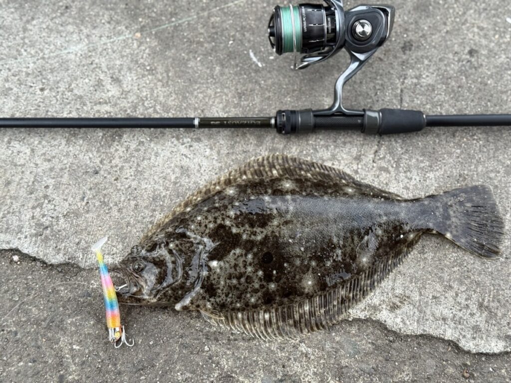 エギゾースト3Gでジグヘッドワームでフィネスな誘いでヒラメ