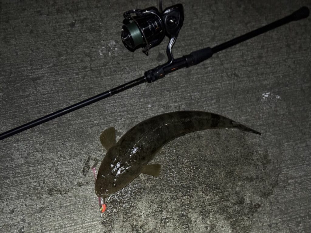 エギゾースト3Gでジグヘッドワームのストップ＆ゴーでマゴチ