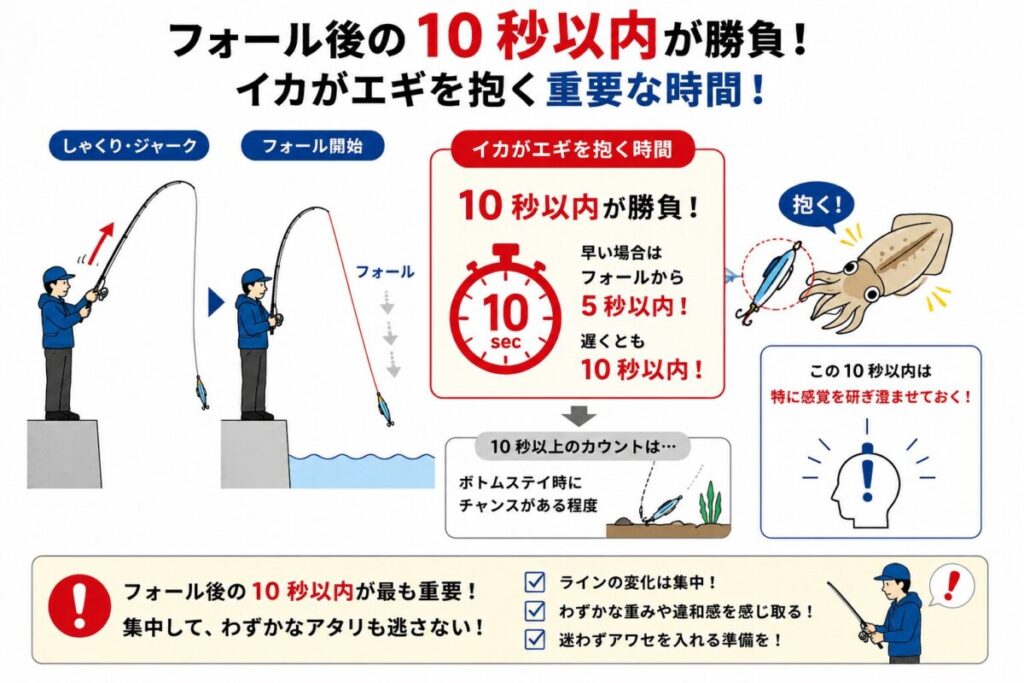エギング歴30年の結論。釣果を出す釣り方は「見えない海中のイメージ力