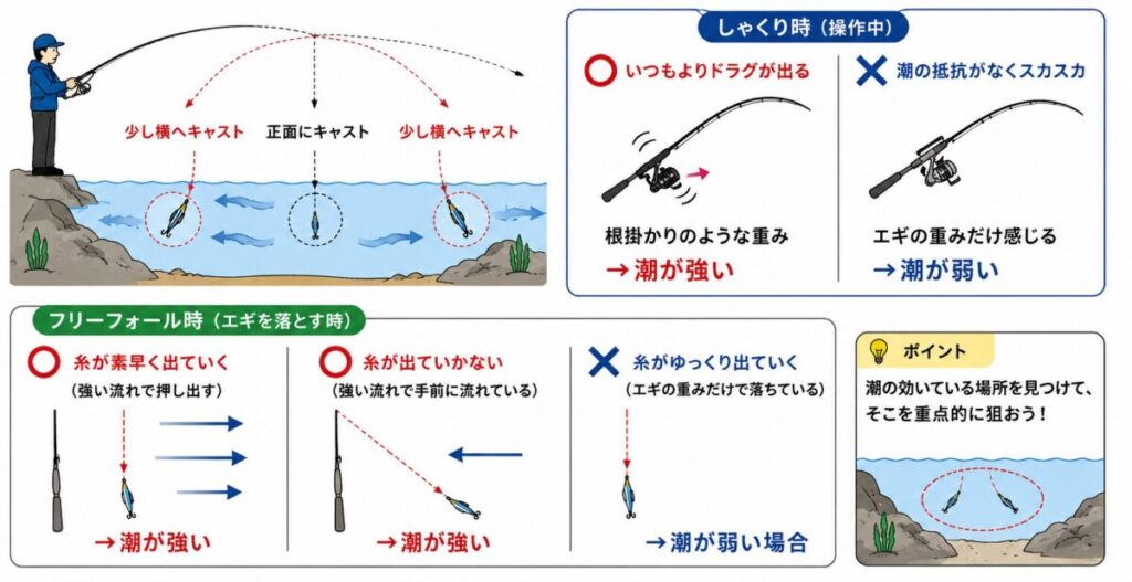 エギングの【状況判断】潮と風を読み、イカの居場所を特定する