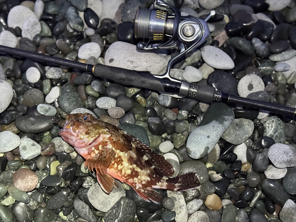 【場所別】冬のロックフィッシュ推奨タックル構成