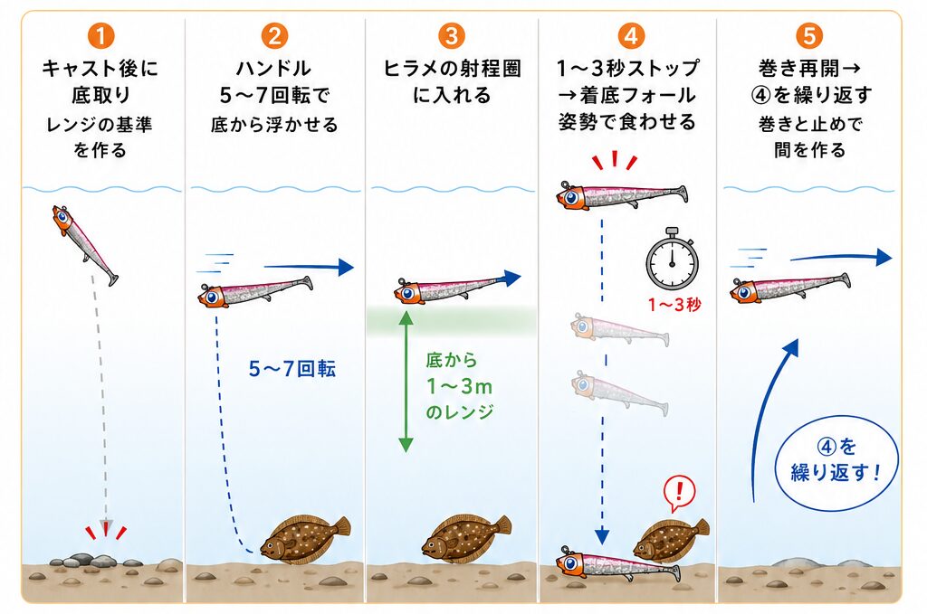 ヒラメをジョルティで仕留めるための基本の巻きパターン